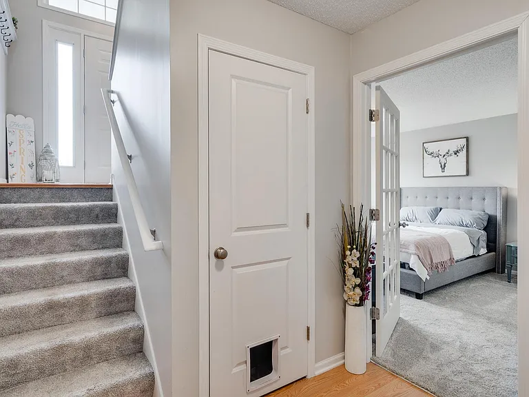 lower floor - entrance stairs (garage entrance as well behind this view), storage door and 3rd bedroom