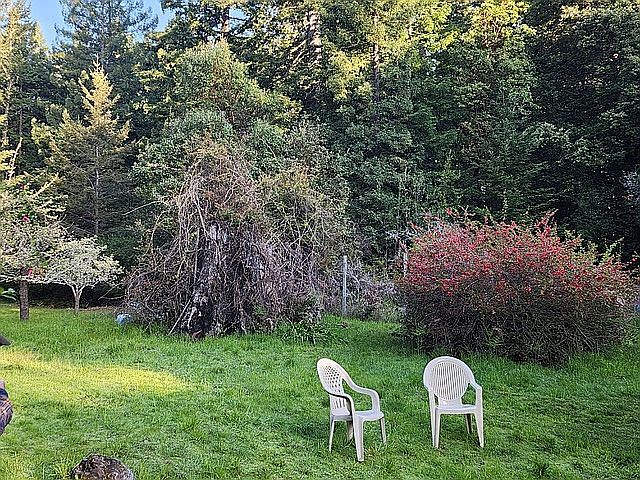 2nd image of 32800 Philo Greenwood Rd