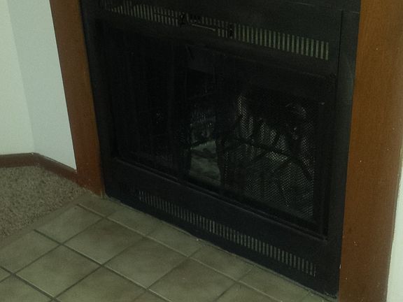 Wood burning fireplace