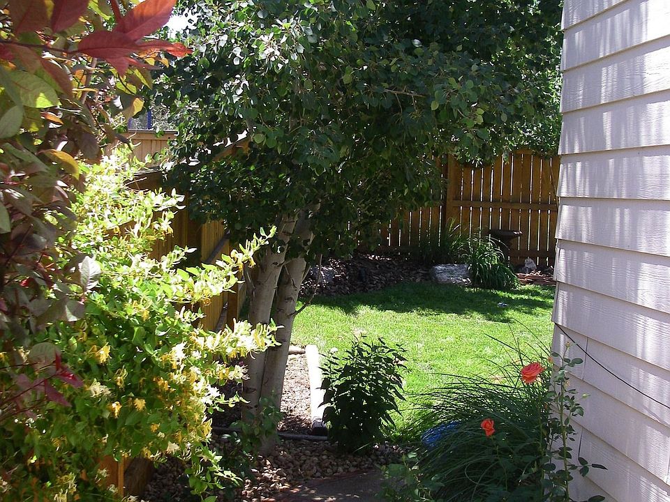 Side Yard East