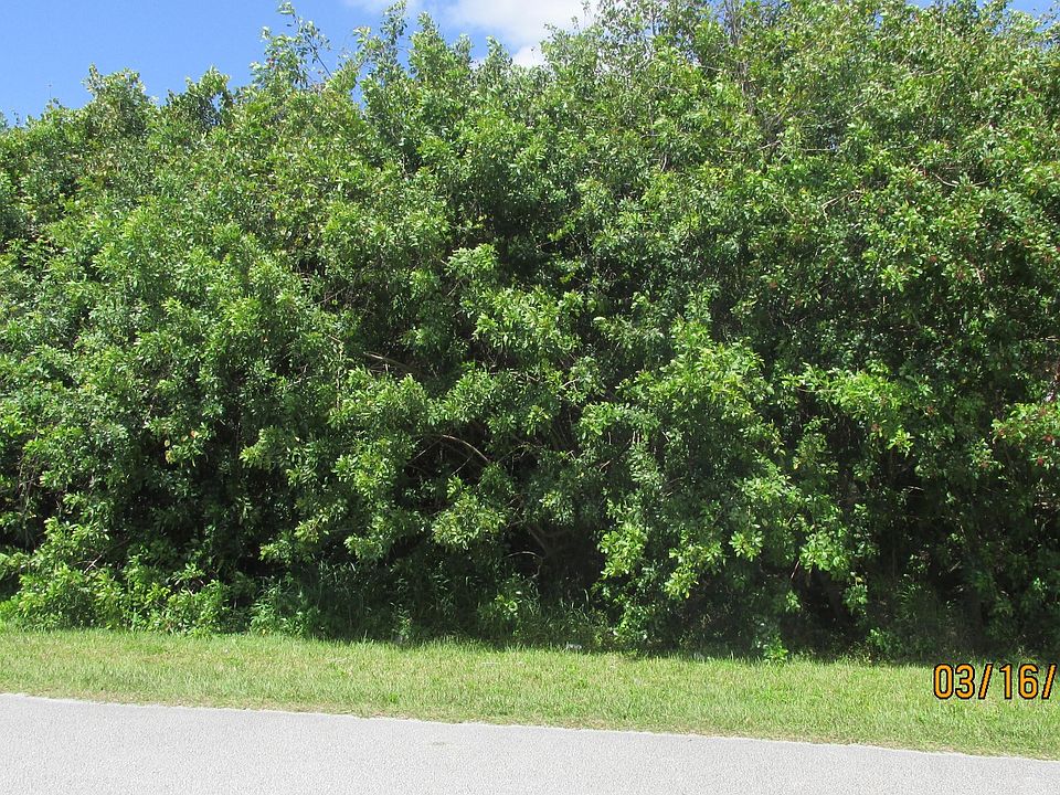 1st image of 442 SW Fields