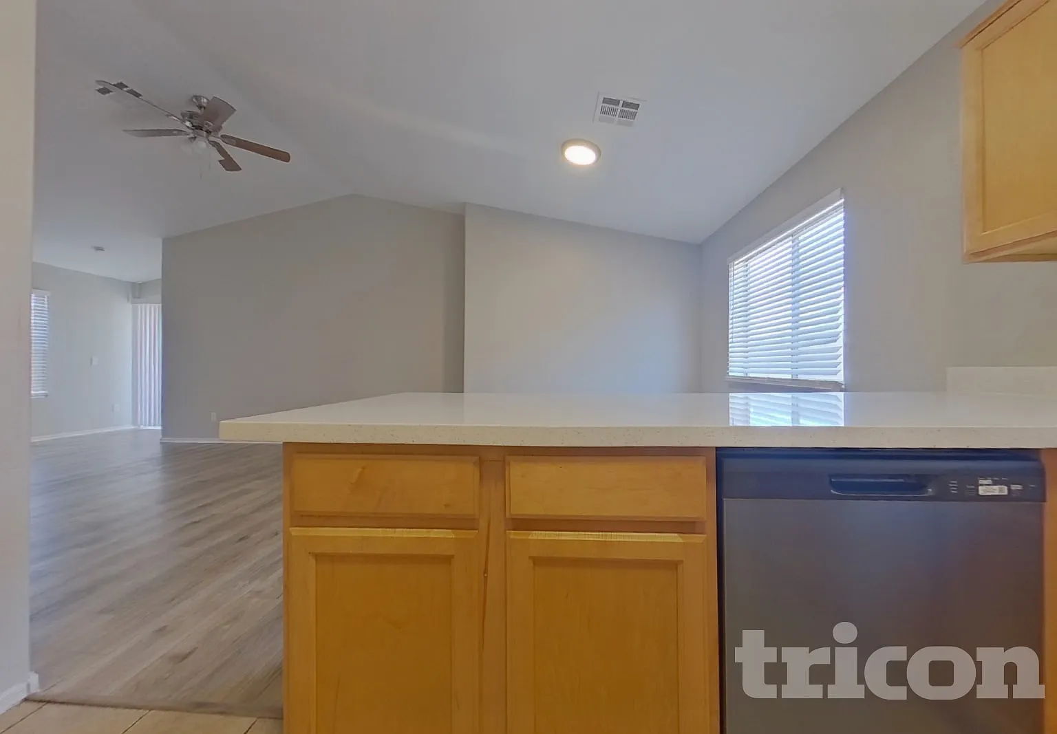 23141 W Ashleigh Marie Drive Buckeye AZ — Photo 3