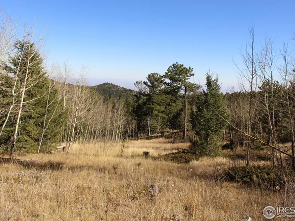 509 Forest Service, Jamestown, CO 80455