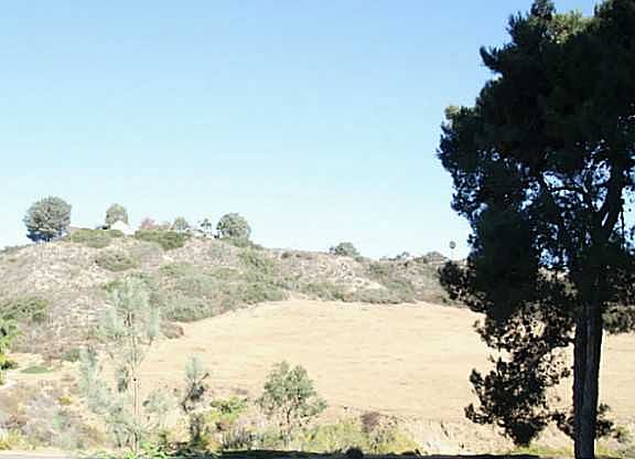 4th image of 1650 S El Camino Real S #203