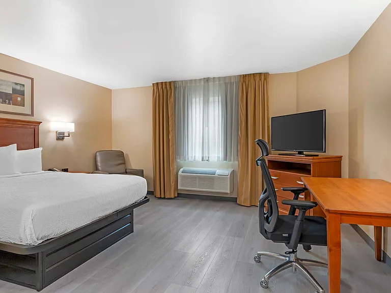 Studio Suite - 1 Queen Bed