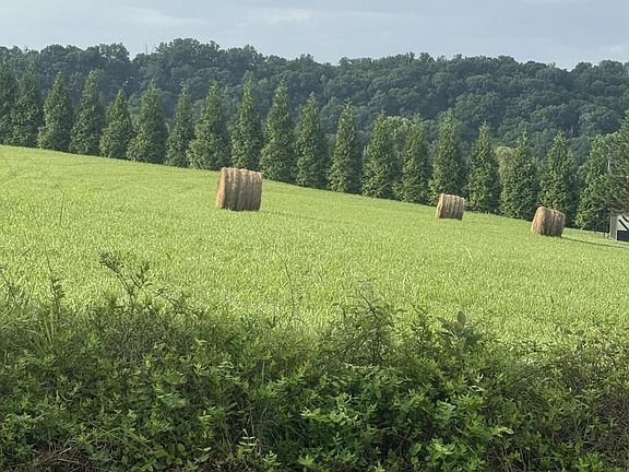 2nd image of 0 Holston Acres