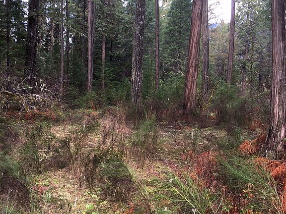 4th image of McKenzie River Dr