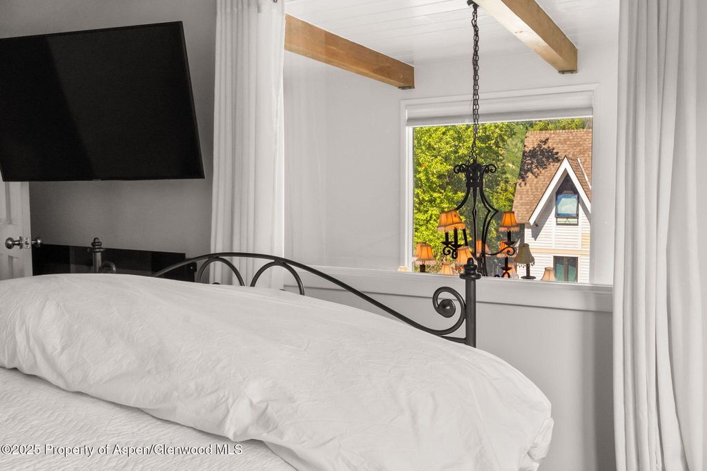 1024 E Cooper Ave APT 8, Aspen, CO - More