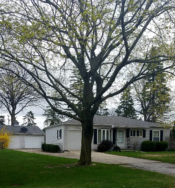 4053 Daybrook Dr photo 1