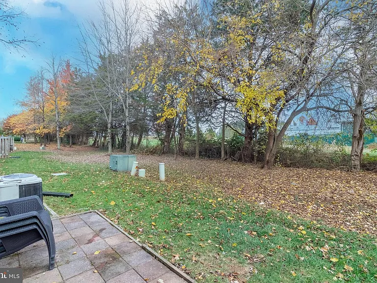 Patio/Backyard