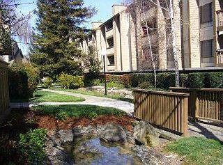 1st image of 49 Showers Dr APT J224