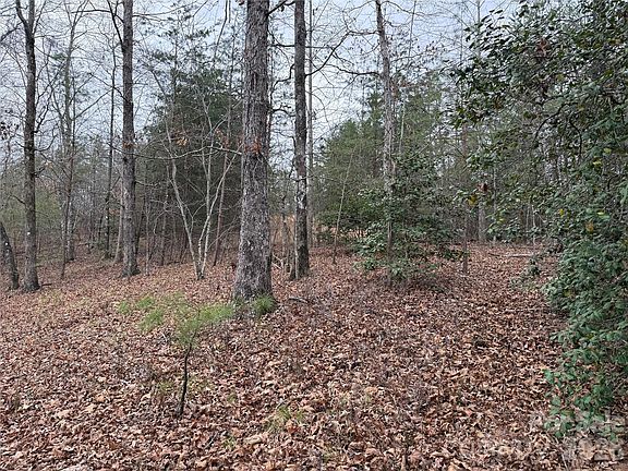 2nd image of 0 Shady Bark Ln #40