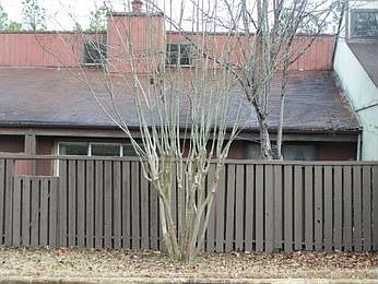 1st image of 3632 Beechollow Dr
