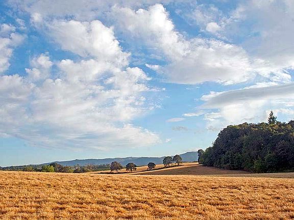 My field after harvest