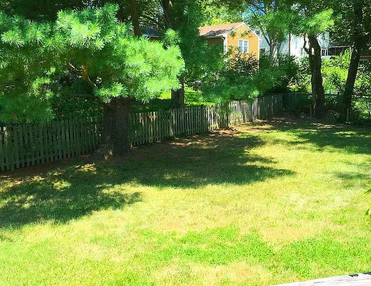 yard