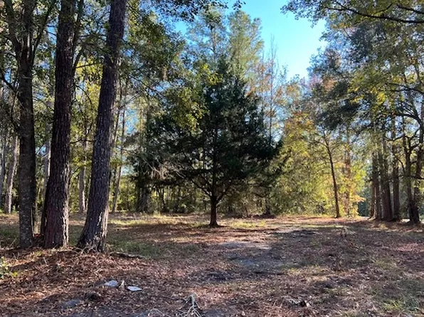 723 NW Pillsbury Dr, Lake City, FL 32055