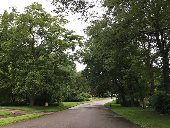 4th image of 954 Thorndale Dr