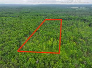 V/l 1009a E Abermanis Trl, Luther, MI 49656
