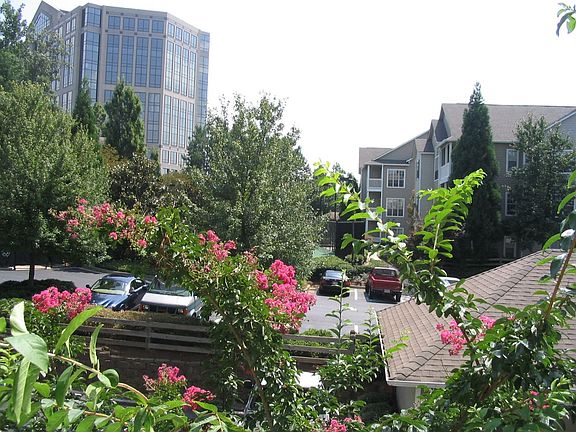 Professional Landscaping