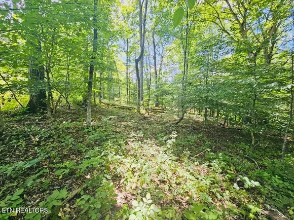 109 Odali Ln, Loudon, TN 37774