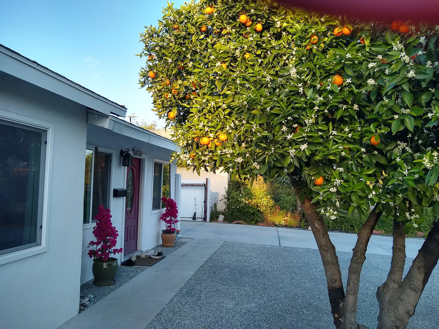 3 bed, 1100 sqft, $3,200 — Photo 2
