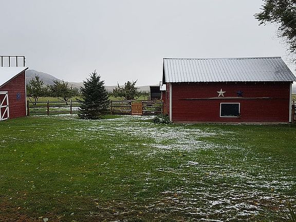 Backyard/Chicken Coop