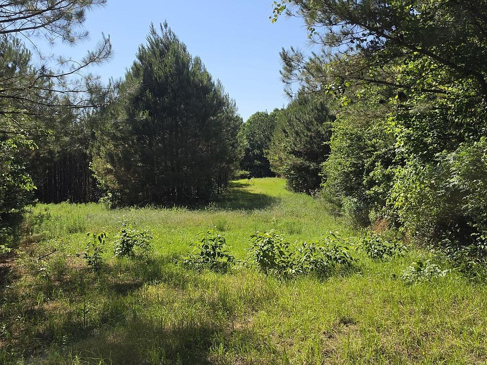 1st image of State Highway 25