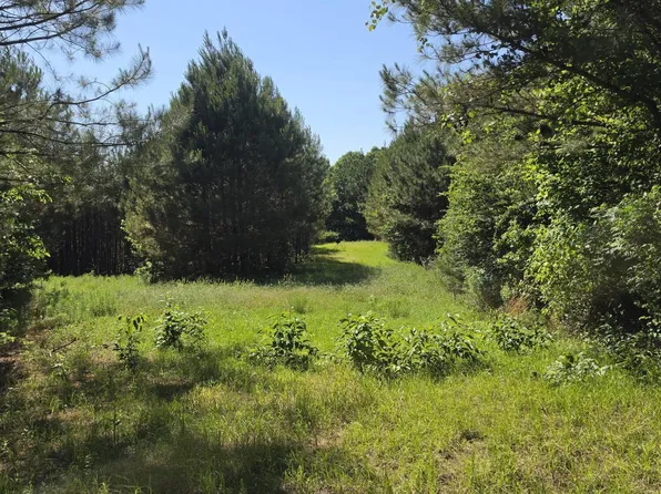 State Highway 25, Louisville, MS 39339