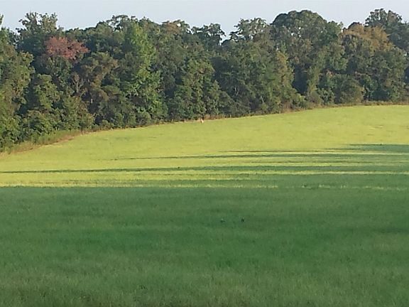 4th image of N State Highway 322