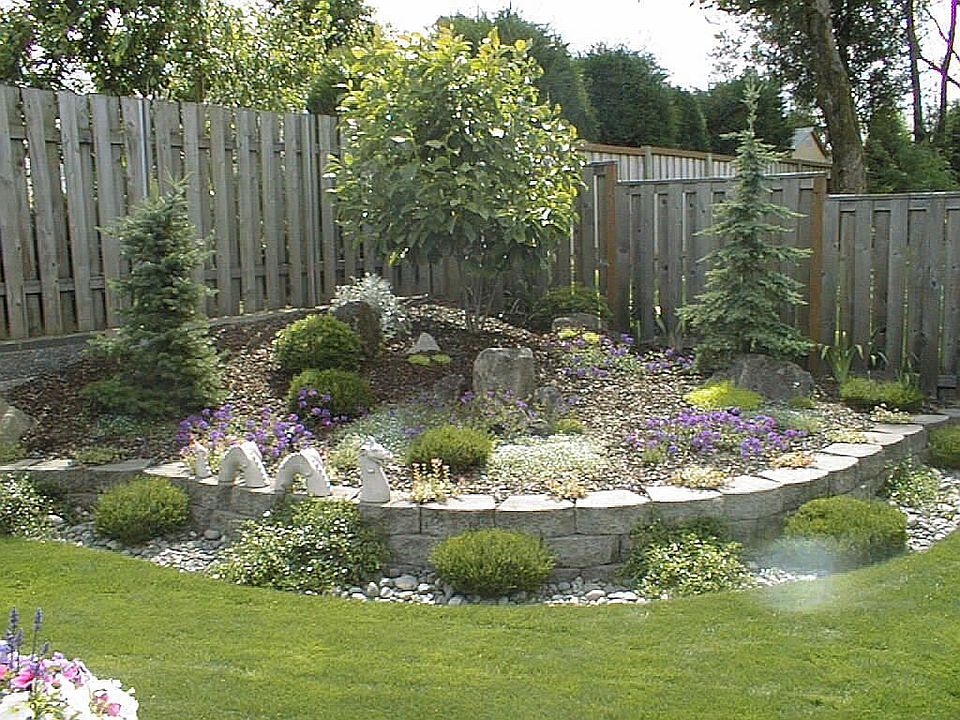 SW Corner Backyard
