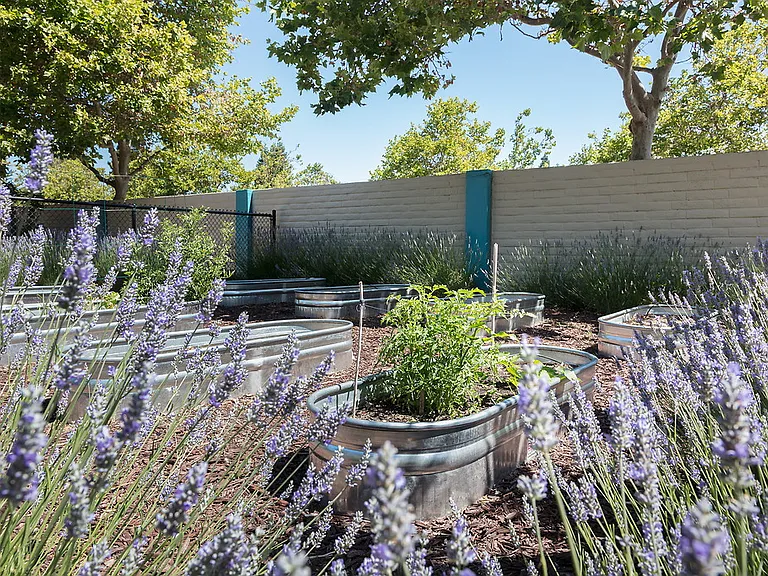 Bel Air — Photo 31