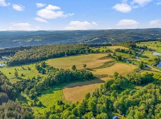 153 Stone Ridge Dr, Charlotteville, NY 12036