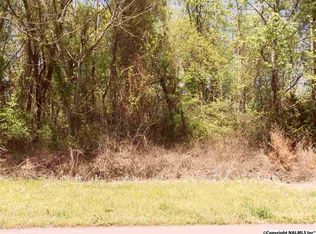 8th St, Decatur, AL 35601