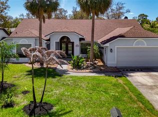 8208 Rhanbuoy Rd, Spring Hill, FL 34606