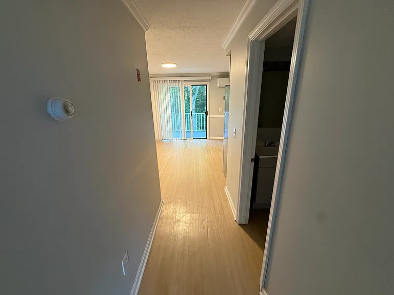 56 Ward St #B3 — Photo 5
