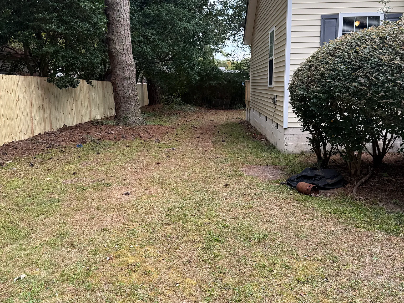3 bed, 1172 sqft, $1,800 — Photo 3