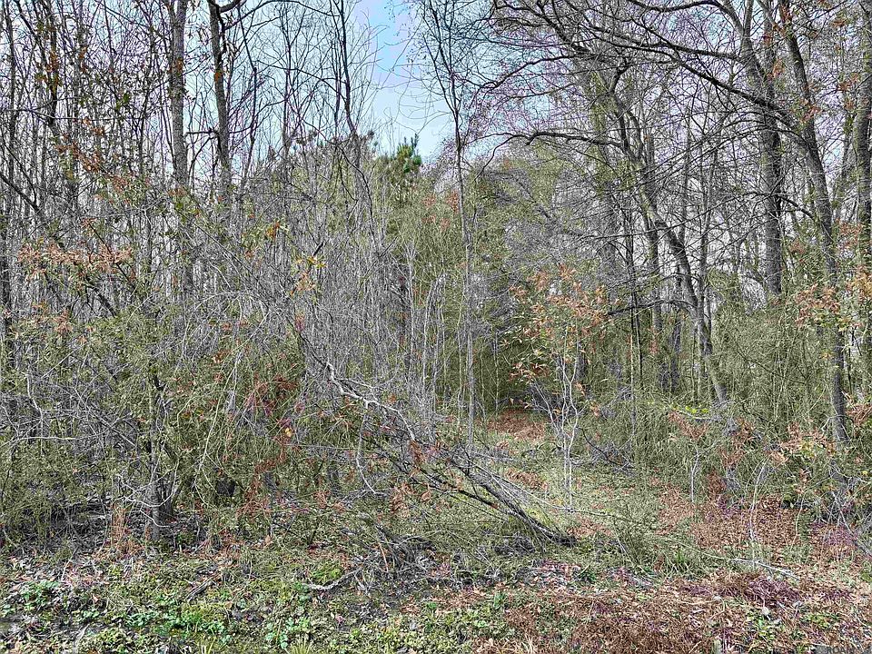 2nd image of LOT-10A Lucien St