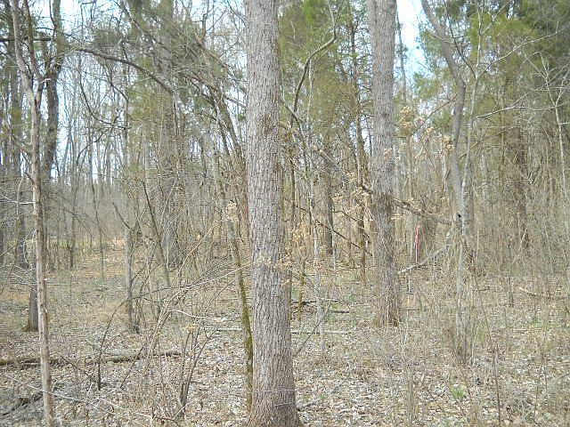 2nd image of 12526 Wood Warbler Dr