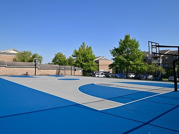 Basketball Court