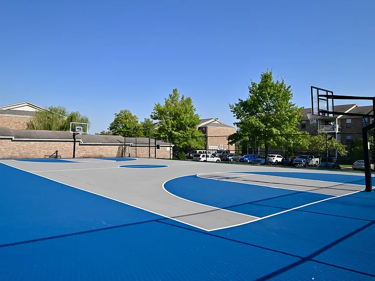 Basketball Court