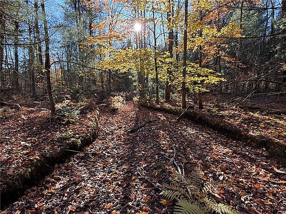 4th image of County Route 23 Lot 5