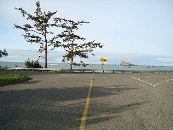 5th image of 1465 Pacific Ave