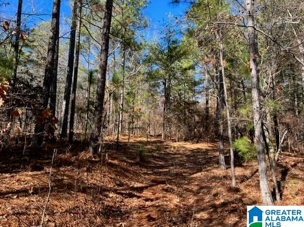 0 Coldwater Rd #0, Oxford, AL 36203