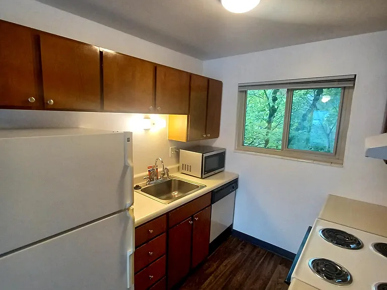3800 Bridge Way N #203 — Photo 6