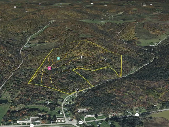 Wightman Rd Lot Wp001, Wellsville, NY 14895