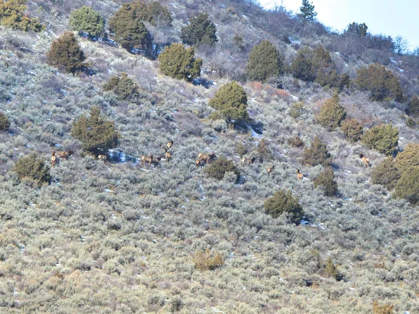 13 Tbd Hwy, Meeker, CO 81641