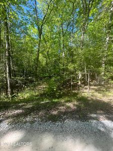 0 Overlook Trl, Spring City, TN, 37381