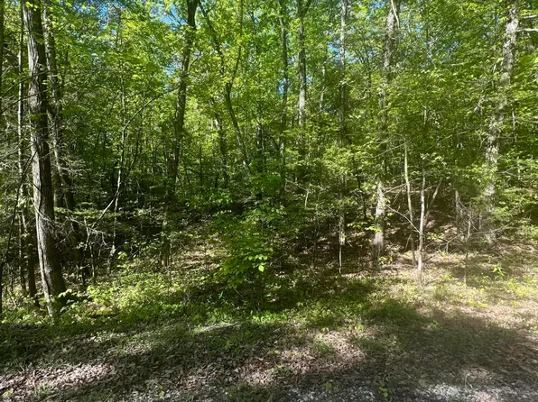 0 Overlook Trl, Spring City, TN 37381