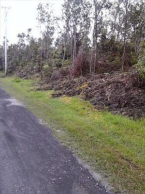2nd image of LOT 27 Lot 27