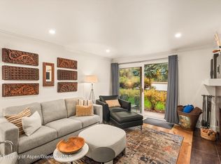 205 E Durant Ave APT 1B, Aspen, CO 81611